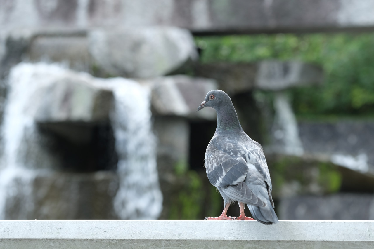 ギャラリーの画像５