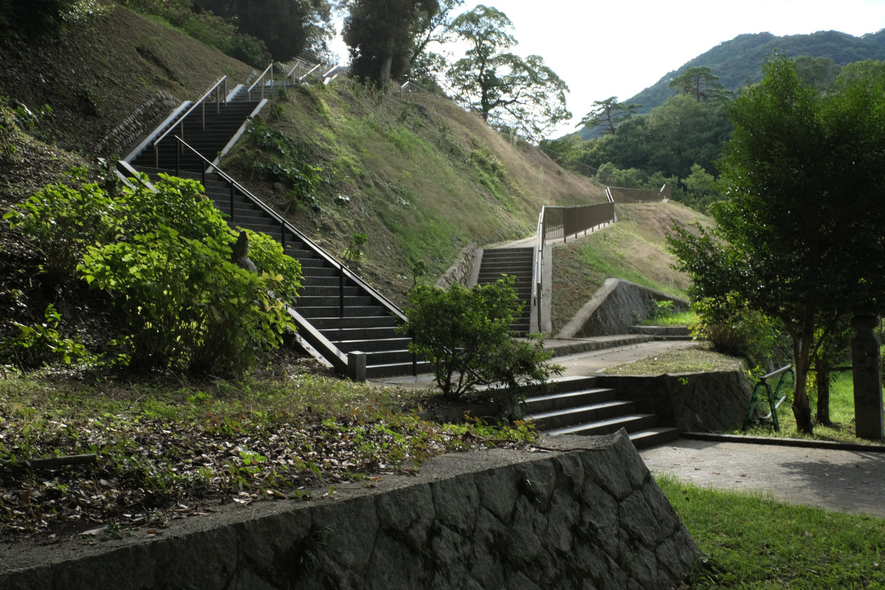 ギャラリーの画像１