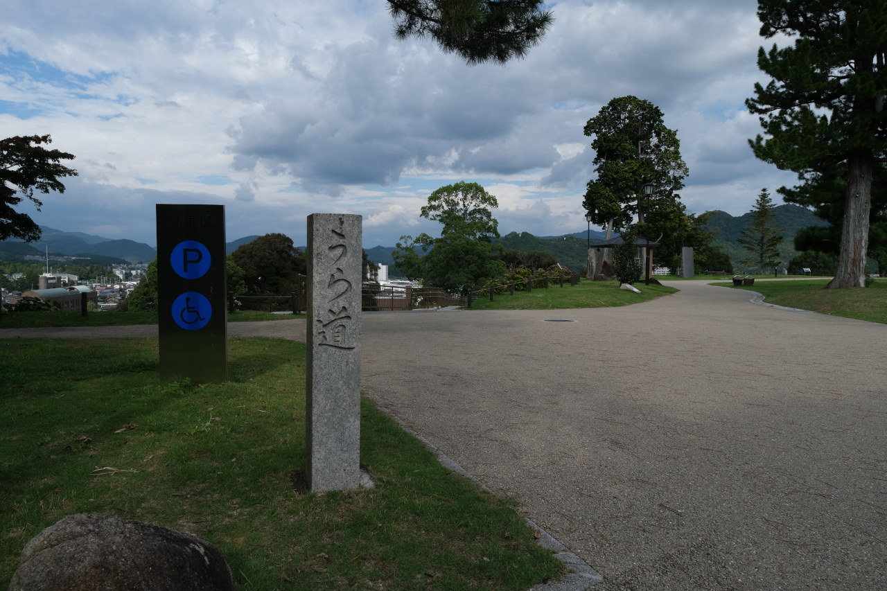 ギャラリーの画像３