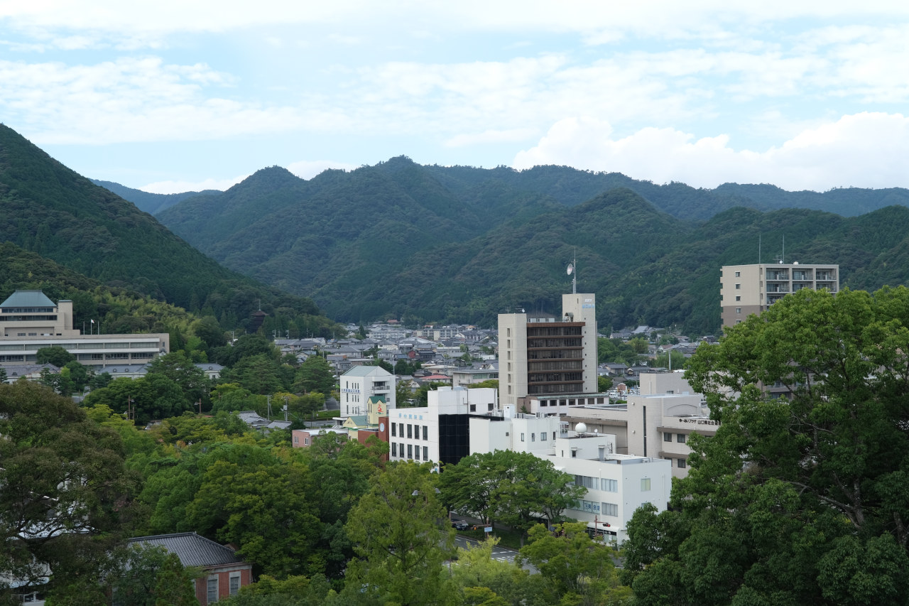 ギャラリーの画像６