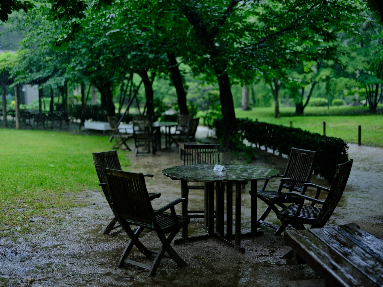 ギャラリーの画像１