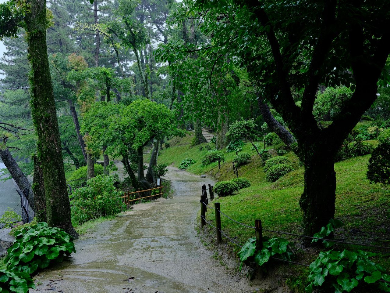 ギャラリーの画像３