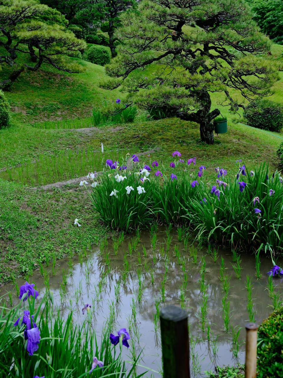 ギャラリーの画像５