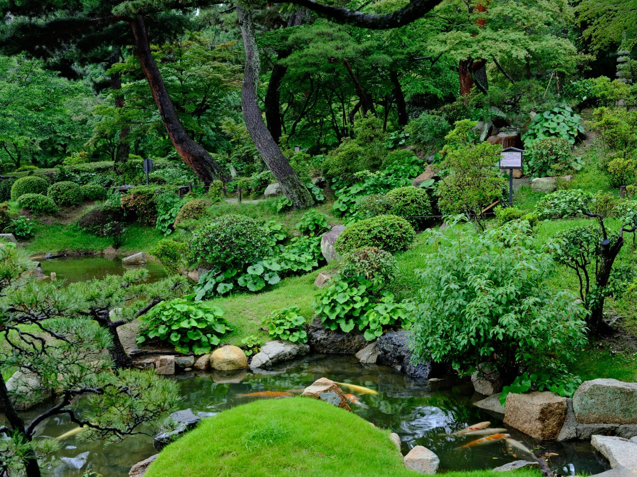 ギャラリーの画像６