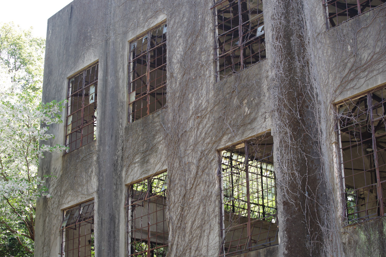 ギャラリーの画像４