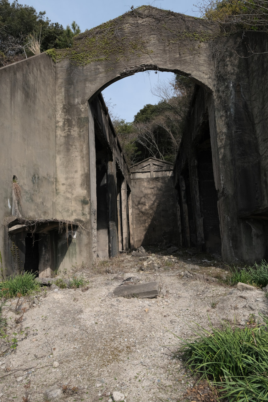 ギャラリーの画像６